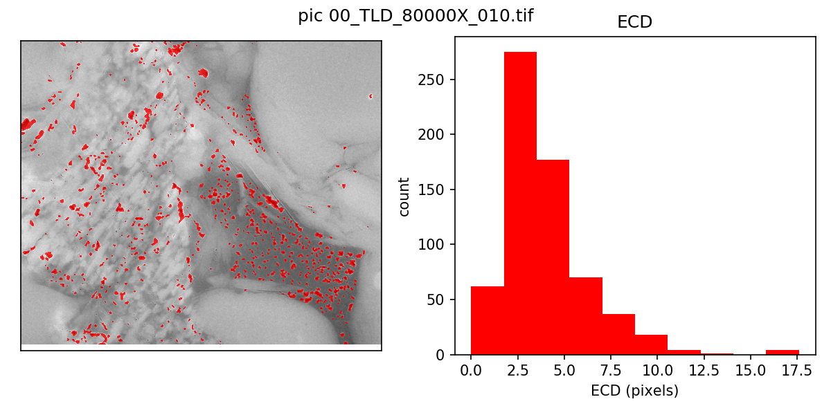 Fig 1.3 Marcellus Shale, resulting OM pores in solid bitumen and pyrobitumen, 8100 ft